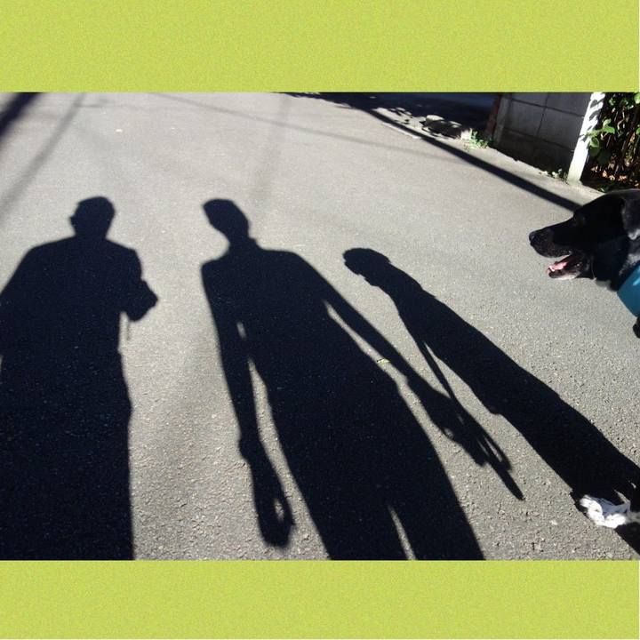 937daf7c 3db4 4c66 a1d0 356cccd67175 1628554295596