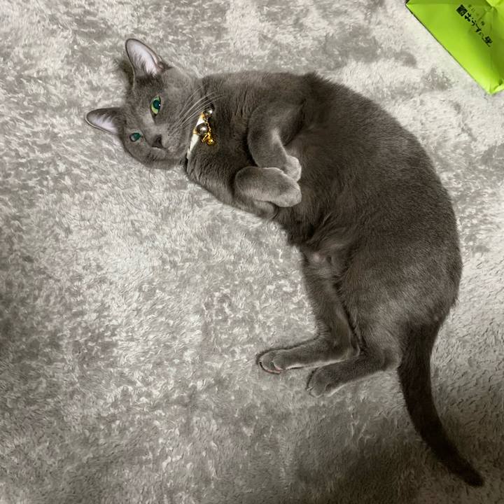 937ddbf7 45f7 4de7 9263 dddcd9244101 1619524538791