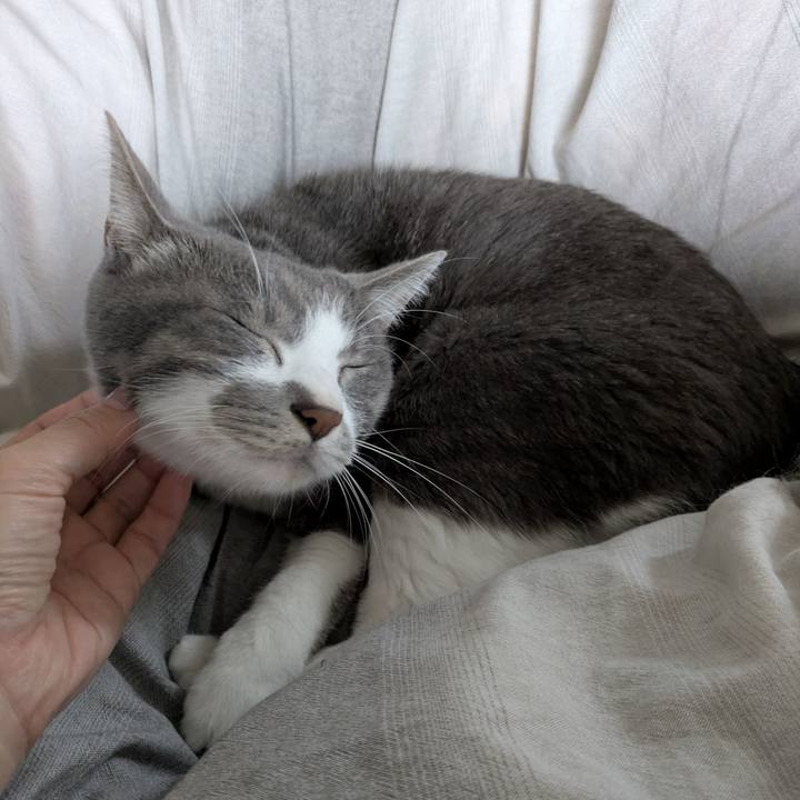 937e46b9 ec27 445d 9abd 012f4007036c 1762653621462