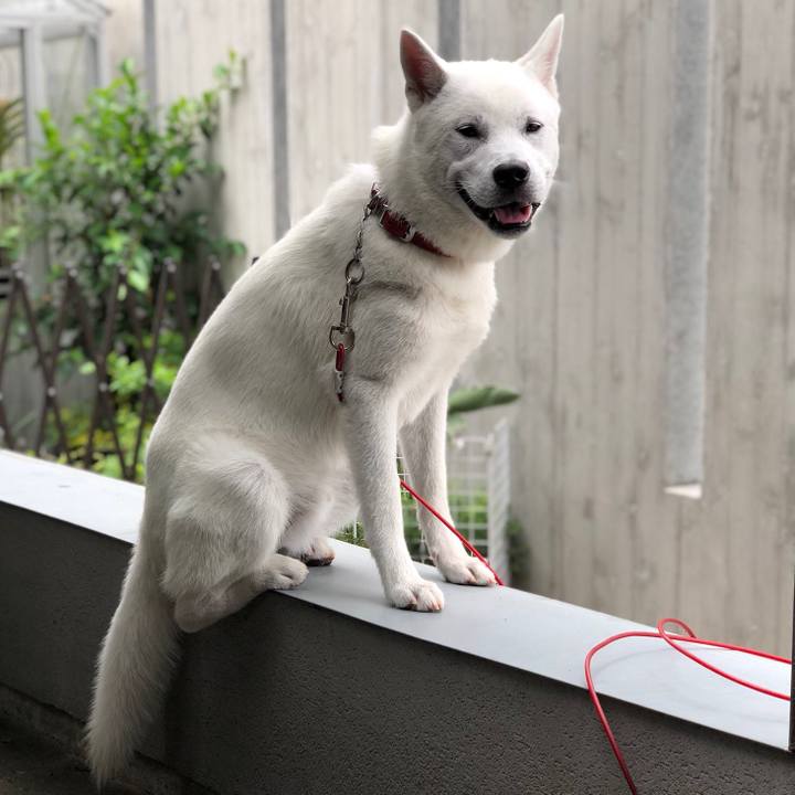 937e778c 1b7a 4aa2 9f3f 0183a75b074f 1528496259415