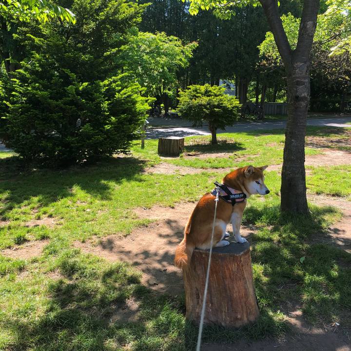 937e90ea da48 42e6 b395 be84d3766960 1527681122011