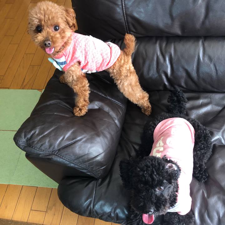 937e91ed 7fd8 4cff 856c 63aee21257fe 1557439584794