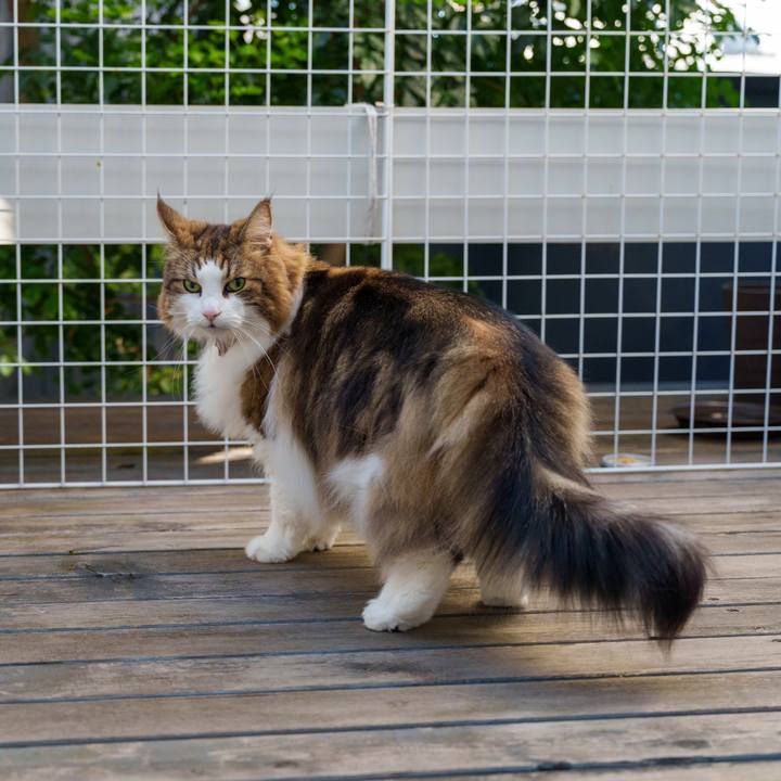 937e99ea c535 4634 b55e 04ed27bffa50 1732880977946