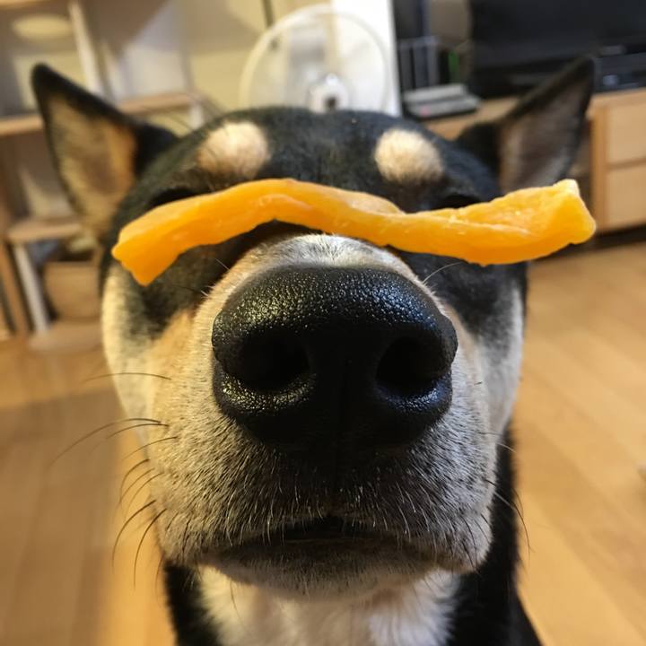 937ec120 9bd5 4e04 a6a2 05adb455bd95 1537097712950