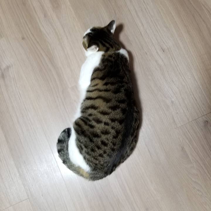 937ecdc7 5a9b 4f1a a5fd 1acf3dea73d0 1610396794641