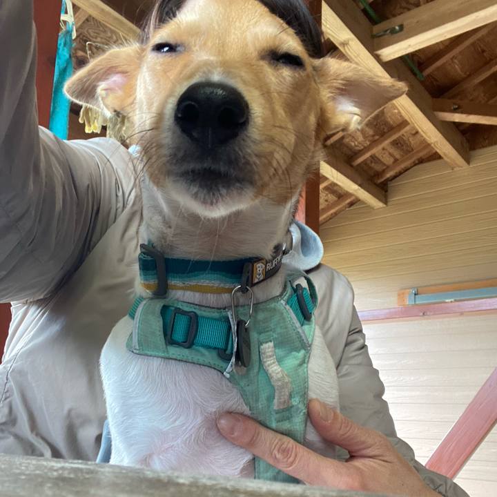 937f059b 89ef 476d 803d b276b01f62cd 1762419693753