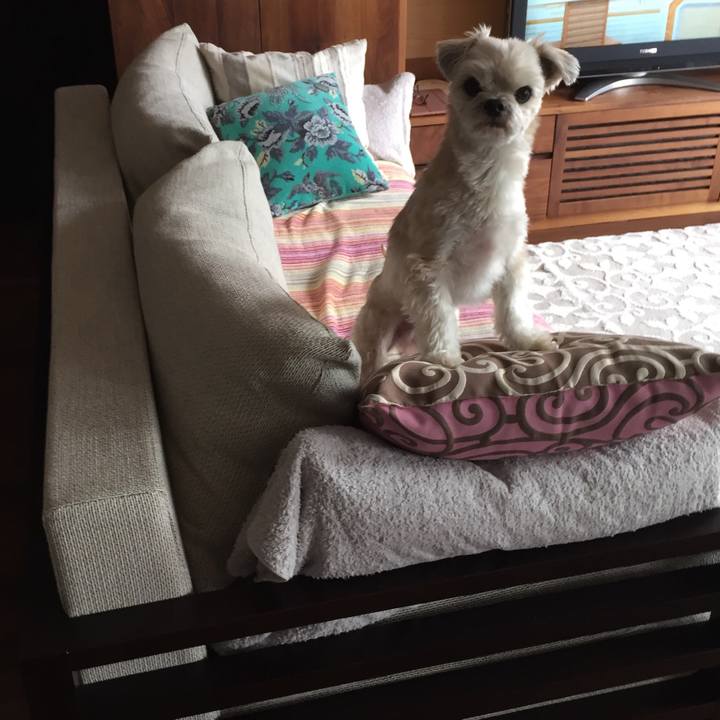 937f0829 a5df 4946 a17f 21b184fedff5 1549449719801