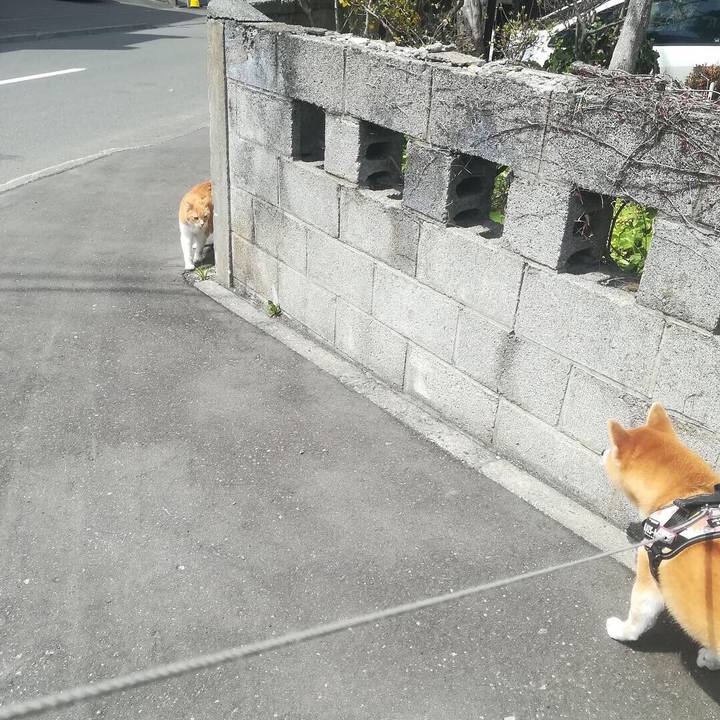 937f1b50 f97a 4bb1 a759 3821abf3c75d 1556634271674