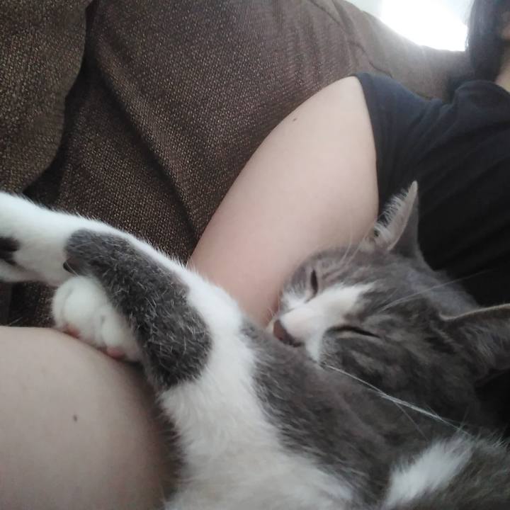 937f8daa 496d 4a04 951b 7643f232d426 1590733047592