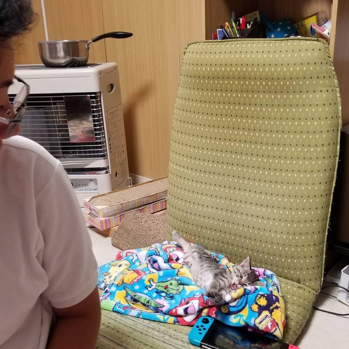 937f99a4 1947 419c b1eb 192683c6d54b 1661698331429