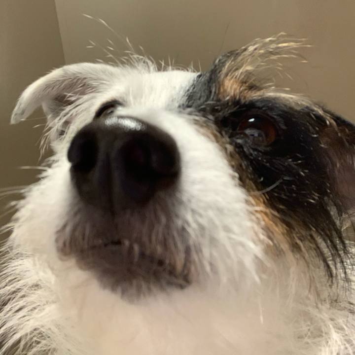 937ff1f5 da24 4d21 9ab6 d70f935e5f2a 1617277772574