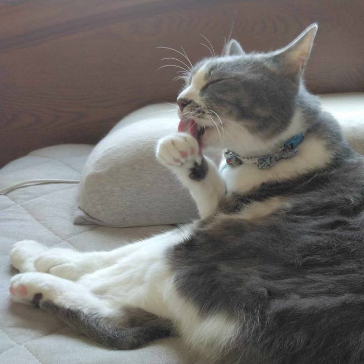 937ffee1 aa91 4db2 9fe0 26e36e92c3bc 1689634734251