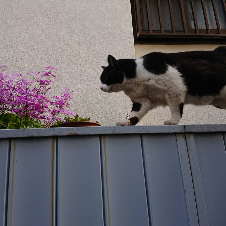 9380002f be4f 433f a420 5bf1d135943b 1649752280590