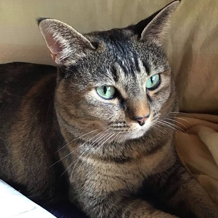 93802567 5d1c 4db1 9ba0 9539e68b99a8 1735694213097