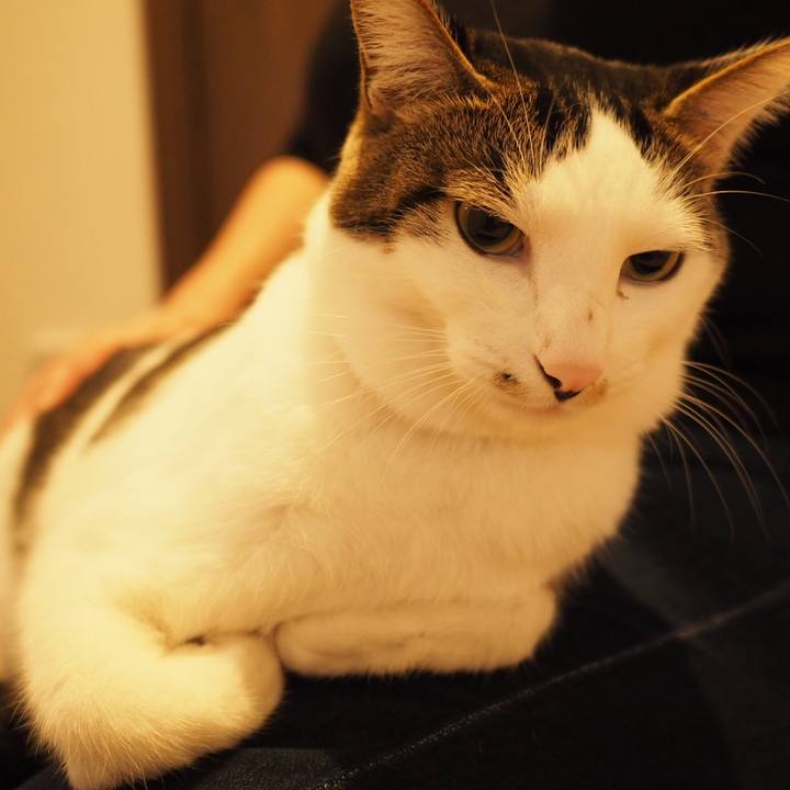 93804153 984a 4fb2 ac34 fac88470943c 1545694066390