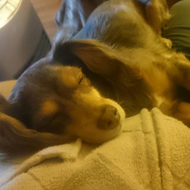 938051f0 dd5b 4088 ae55 dff1436fd356 1518606972907