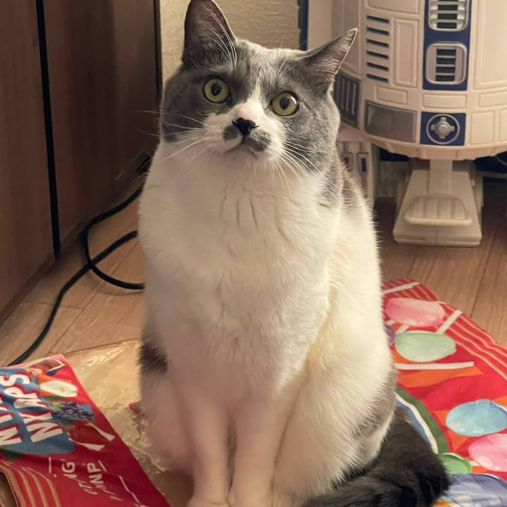 9380553e 4837 44be ba0c d6beb5c9467b 1737702334120