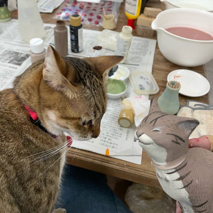 93808e74 5aa1 45db 9350 e9c64024bd97 1739414175944