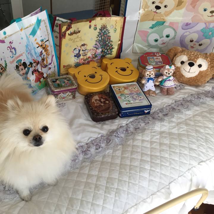 938097d4 3270 4484 8d19 3e95d232a57e 1545352072157