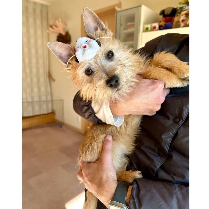 9380acd0 6f2e 4f1f b27b b3b79b150175 1706969798837