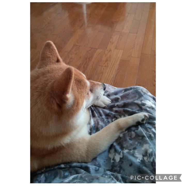 9380d850 4e57 4477 b109 b11f74289dd7 1759994372702