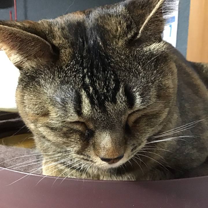 9380de06 9773 4ece b5f4 777a5b9c0e04 1735032873055