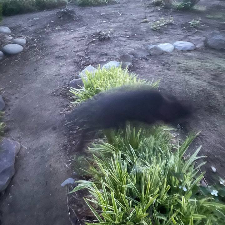 9380dfd7 1bbf 4e28 89fa 92a18ec059e1 1684353026036