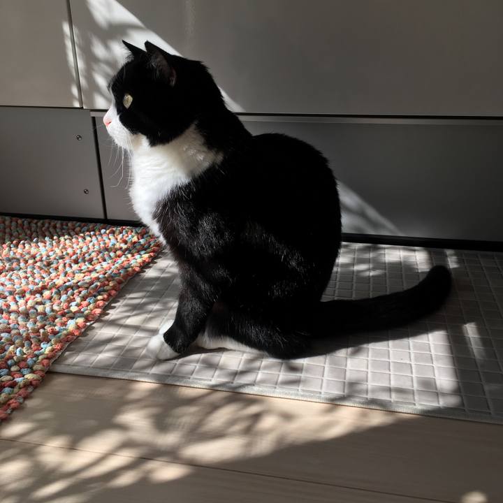 9380f9f0 2198 4312 9017 da8074f6d02e 1604365481335