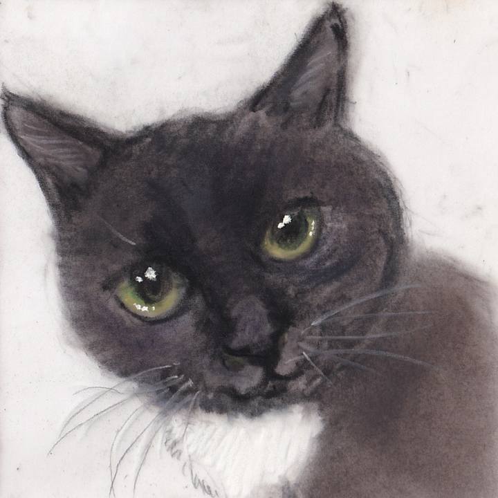 9381068f a718 45d7 ad71 de5dad341878 1743086620850