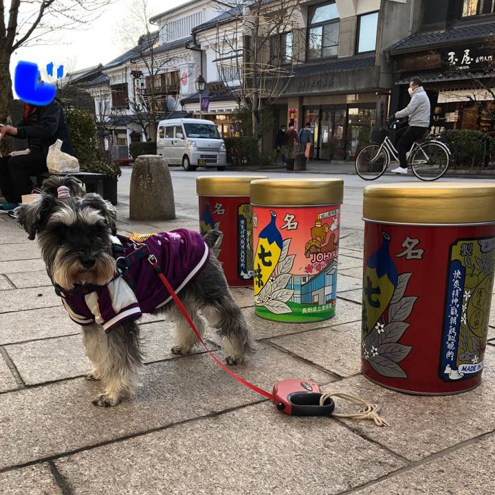 938109e0 c86a 47aa 8c9c 5b592510dfaa 1613223620488