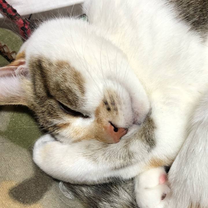 938139e8 c3e0 4e88 b4b8 e1bd45714a3a 1553952201272