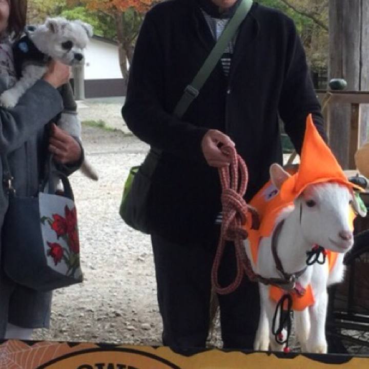 93814190 4841 4a56 baec 45038f323a23 1510227743051