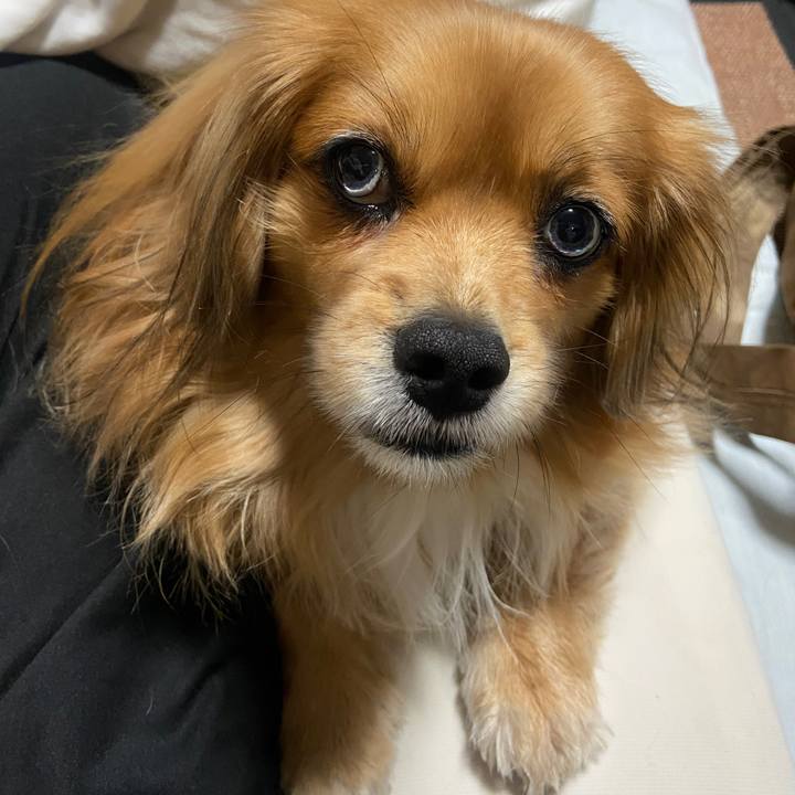 9381781b b7d9 49d7 823f ab9db741a987 1642369754856