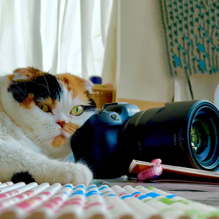 9381a6e9 ebf4 4b1e 9ef1 ec43af1dc6e4 1681347510825