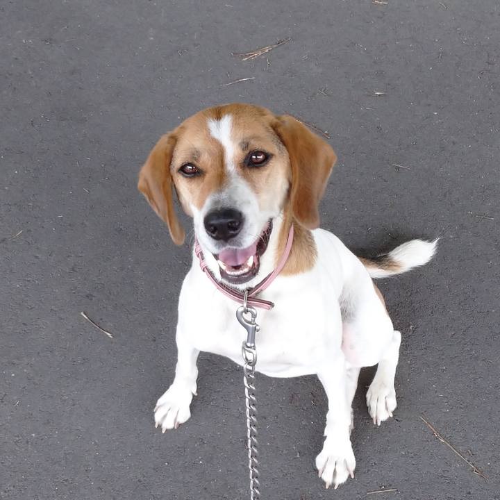 9381dd67 91e6 4367 853e 33647148e38a 1596781633902