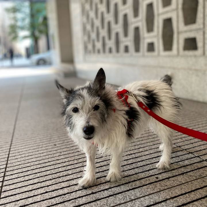 9381ee2d 5059 4c2c 8e4c 02f986e13e2b 1613304067318