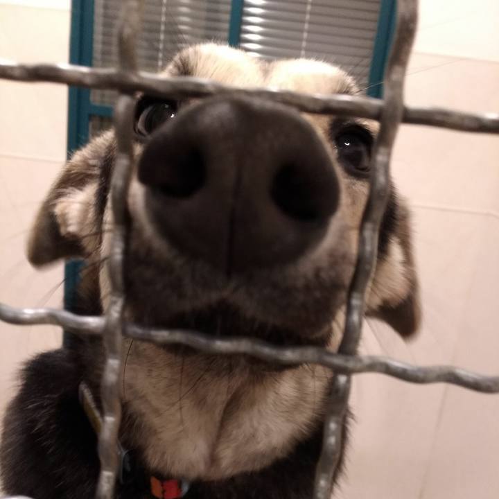 9381f2b9 5d98 44f8 8752 bf38f5bbd888 1541855669387