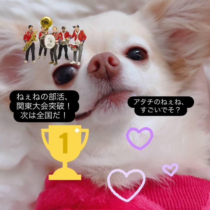 938210d2 336e 4d64 8f88 beaa3490aa8f 1762695545975