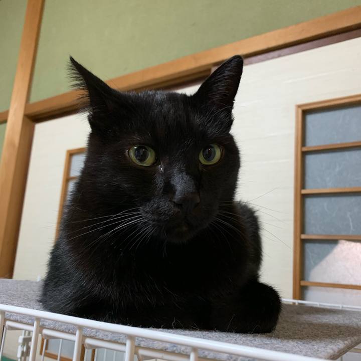 93821480 d615 4cb4 a5a2 14ec6249c367 1543281075800