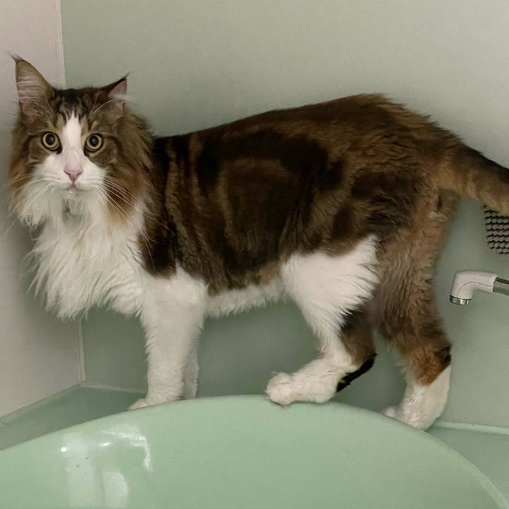 938220e0 ba7b 420b 97b6 d9d7acbab6ab 1691524146779