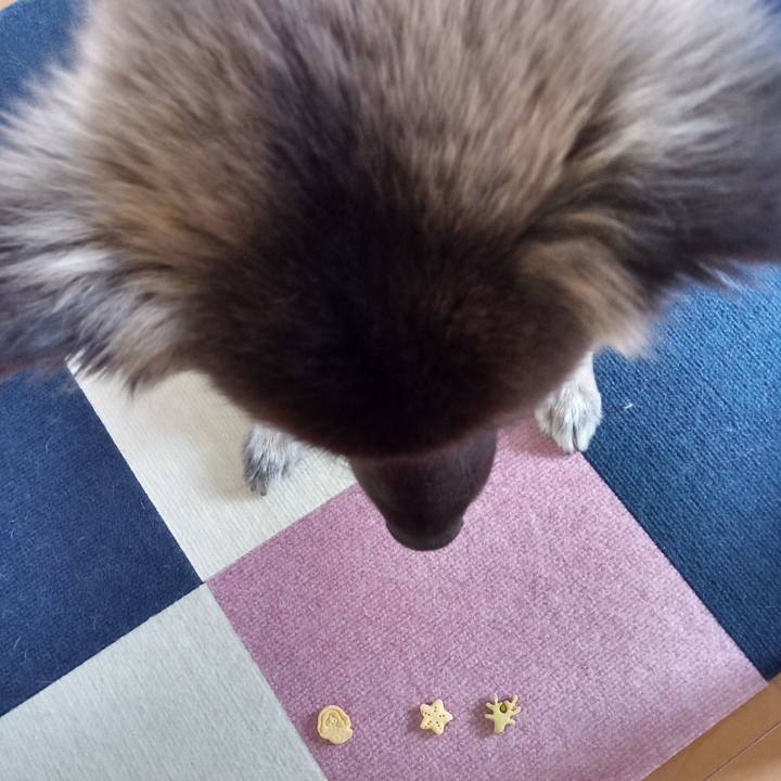 938241a3 fd3f 454f a310 f14d9acf1344 1766486718243