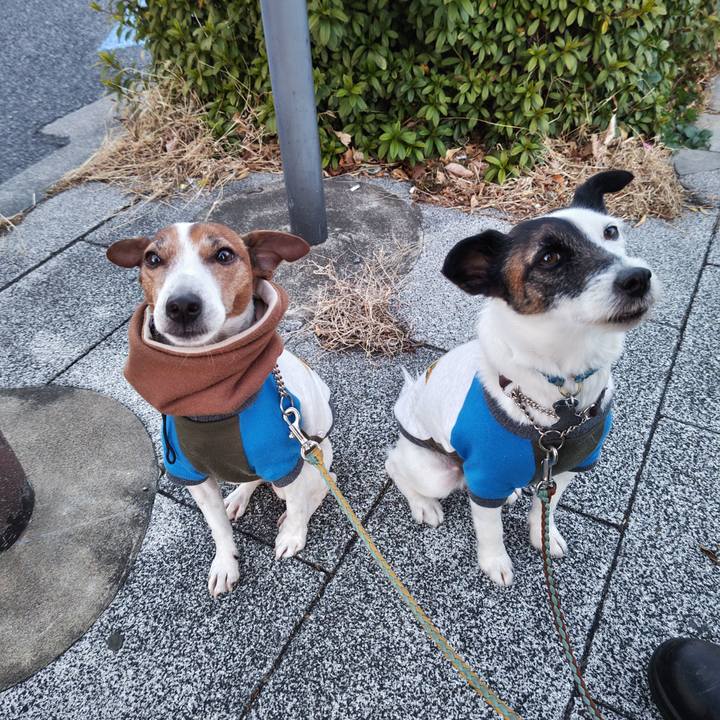 9382482f 1a75 4129 b56f 597b173caa73 1738792360028