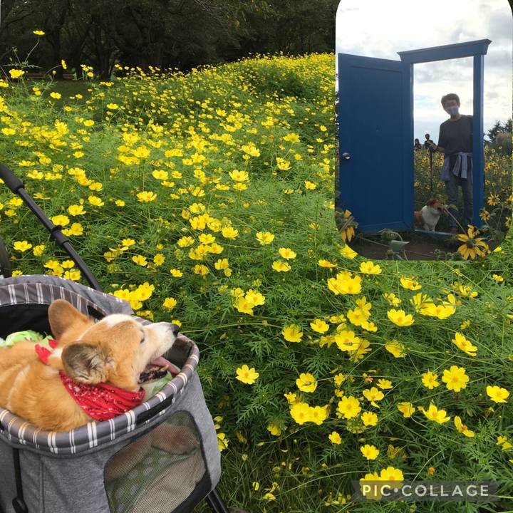 93825434 09a0 4f03 a7a7 284a19341aa3 1631145267543