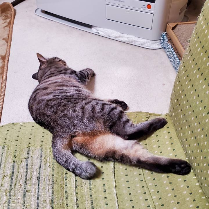 93825ea9 7953 40e4 a56a d721100185bb 1712113862478