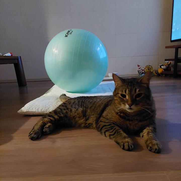 93827c2e 8142 41b9 a015 62cd8679b56d 1640289627661