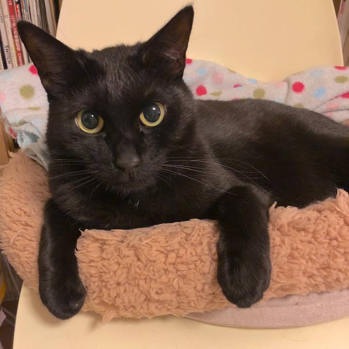 9382a7eb 28fb 48e3 8bb3 8eed391ce502 1521555034411