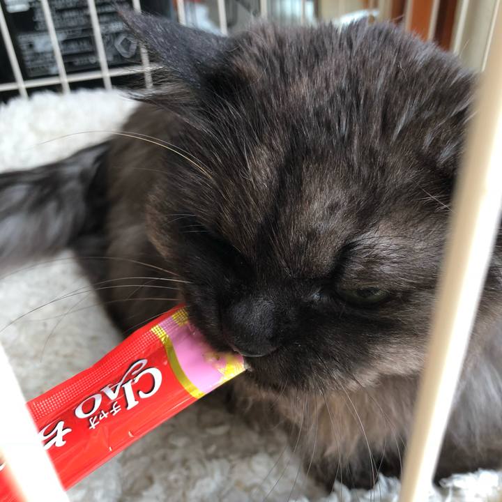 9382b76e f039 464e 90c8 08e8a808a2d6 1521938742878