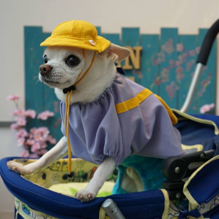 9382b89c ff27 4875 a4bd f9613a99efc6 1522878421431