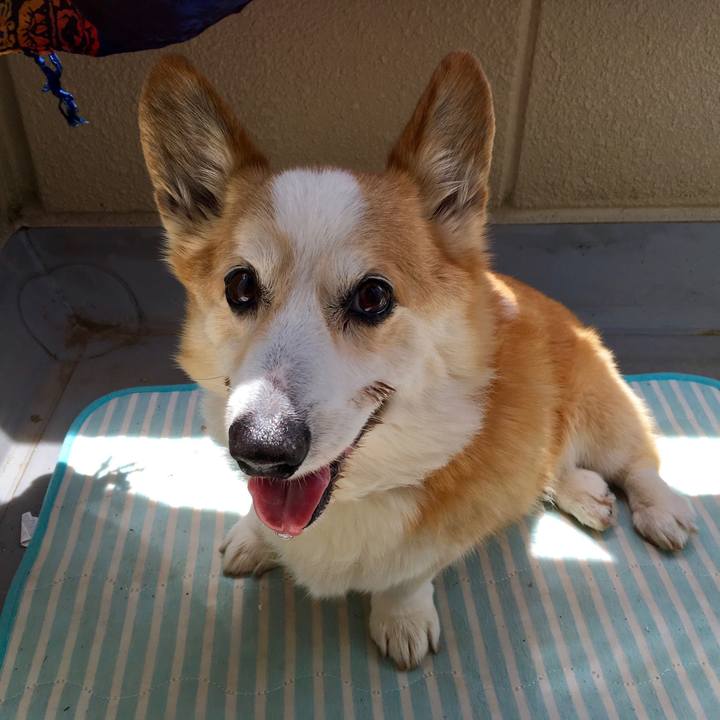 9382eabd d9cd 4edc 82da 804432c9fc50 1526006868966