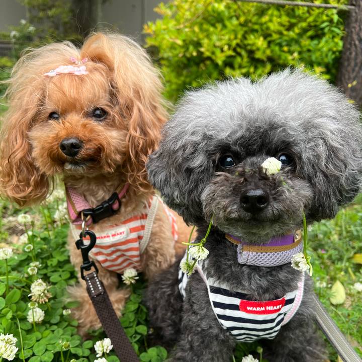 93830e45 feb1 44d7 83e5 065de2031ab1 1651188198711